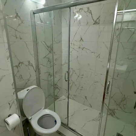 Turtle Sunny Sunny Beach